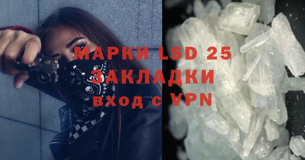 PSILOCYBIN Покров