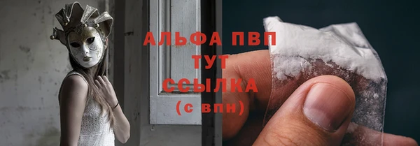 PSILOCYBIN Покров