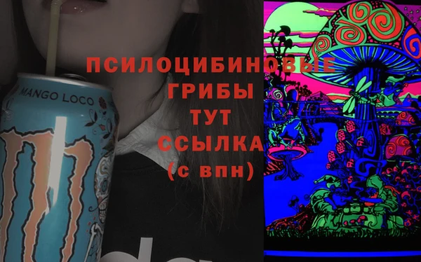 PSILOCYBIN Покров