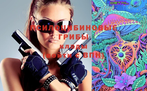 молекула духа Переславль-Залесский