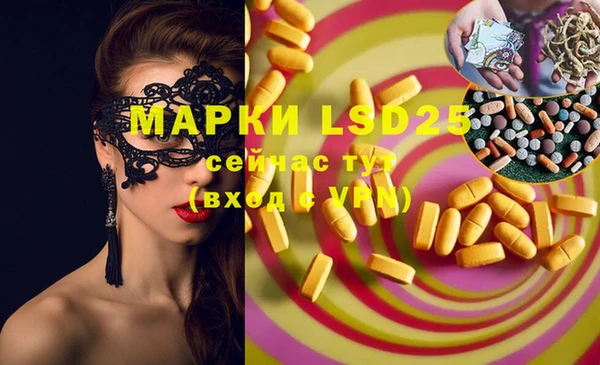 PSILOCYBIN Покров
