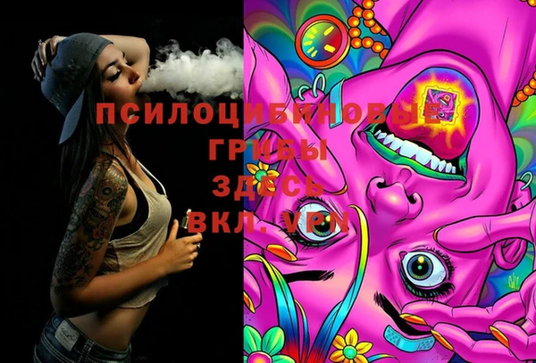 PSILOCYBIN Покров