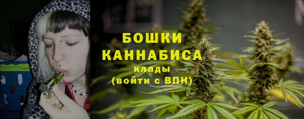 PSILOCYBIN Покров