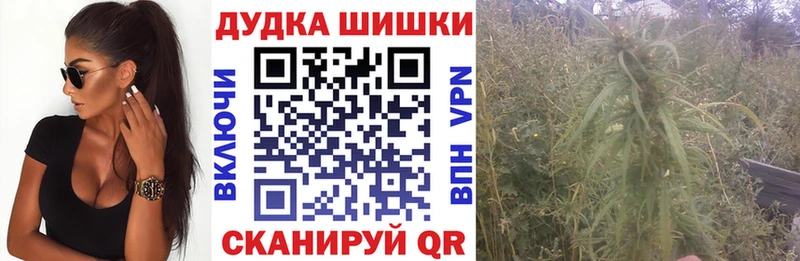 наркотики  Энем  Канабис индика 